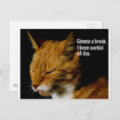 Carte Postale Fatigué Cat Design - "Gimme a break." (Devant / Derrière)