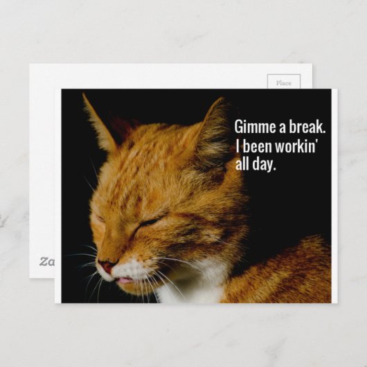 Carte Postale Fatigué Cat Design - "Gimme a break." (Devant / Derrière)