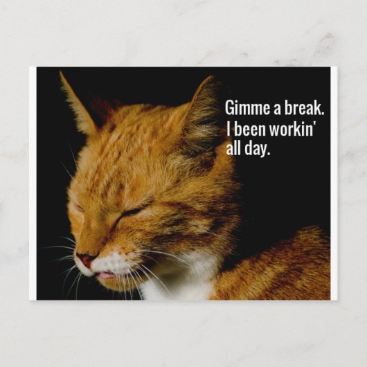 Carte Postale Fatigué Cat Design - "Gimme a break." (Devant)