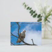 Carte postale Faucon à la chasse (Debout devant)