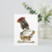 Carte Postale Faucon à queue rouge John James Audubon Oiseaux Am (Debout devant)