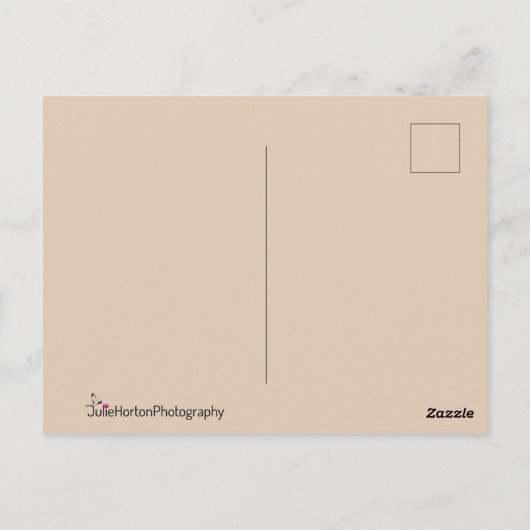 Carte Postale Faucon dans le profil (Dos)