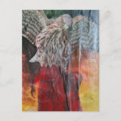 Carte Postale Faucon en robe rouge fantasy collage (Devant)