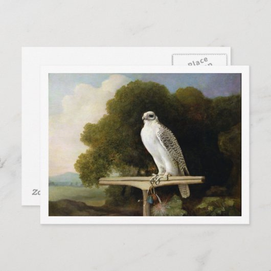 Carte Postale Faucon groenlandais (Faucon gris), 1780 (huile sur (Devant / Derrière)