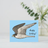 Carte Postale Faucon pèlerin Crayon de couleur BON ANNIVERSAIRE (Debout devant)