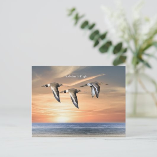 Carte postale Faune (Debout devant)