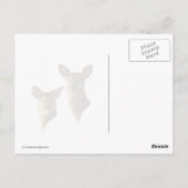 Carte Postale Faune allongée sur l'herbe (Dos)