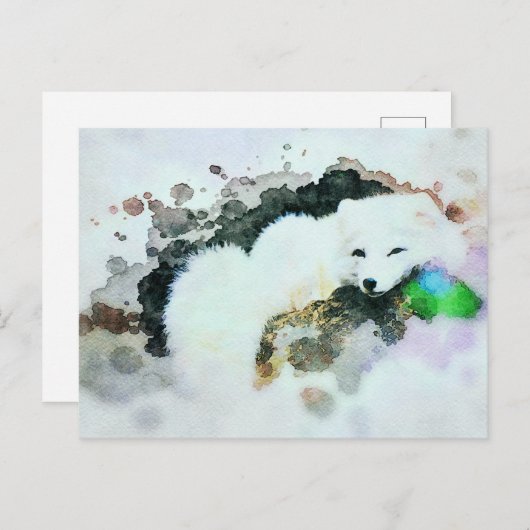 Carte Postale *~* Faune AP18 Neige Blanche Polar Fox Post (Devant / Derrière)