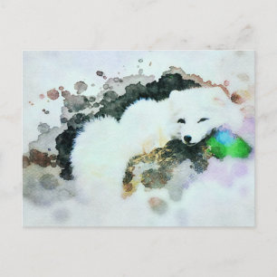 Carte Postale *~* Faune AP18 Neige Blanche Polar Fox Post