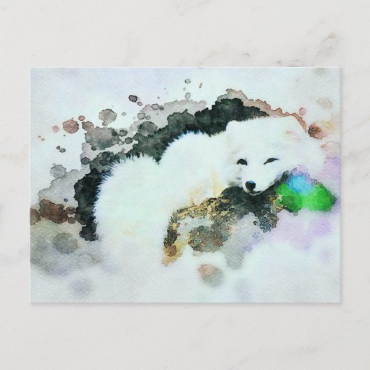 Carte Postale *~* Faune AP18 Neige Blanche Polar Fox Post (Devant)