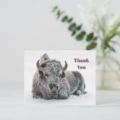 Carte Postale Faune Bison Neige Photo Merci (Debout devant)