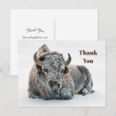 Carte Postale Faune Bison Neige Photo Merci (Devant / Derrière)