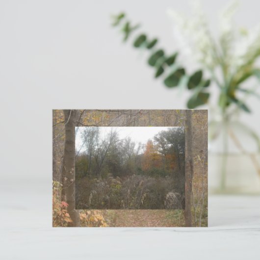 Carte Postale faune d'automne (Debout devant)