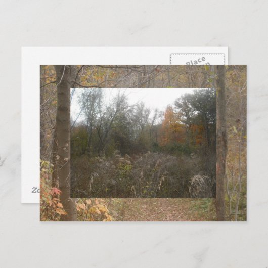 Carte Postale faune d'automne (Devant / Derrière)