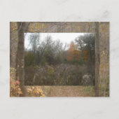 Carte Postale faune d'automne (Devant)