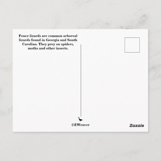 Carte Postale Faune De La Ceinture De L'Est Lizard Sc (Dos)