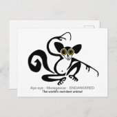 Carte Postale Faune étrange - Graphique AYE-AYE - lémurien - pri (Devant / Derrière)