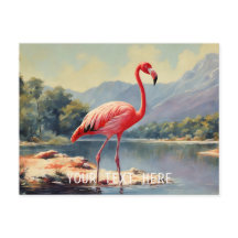 Faune Flamant rose rose River Mountain Vintage
