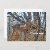 Carte Postale Faune Forêt de Cerfs Photo Merci (Devant / Derrière)