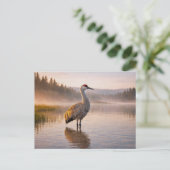 Carte Postale Faune Grue des collines Zone humide (Debout devant)