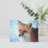Carte Postale Faune hivernale (Debout devant)