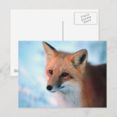 Carte Postale Faune hivernale (Devant / Derrière)