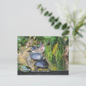 Carte Postale Faune le long de la rivière Silver (Debout devant)