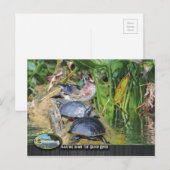 Carte Postale Faune le long de la rivière Silver (Devant / Derrière)