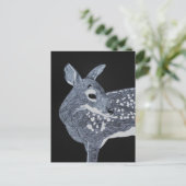 Carte Postale Faune localisée (Debout devant)