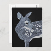 Carte Postale Faune localisée (Devant / Derrière)