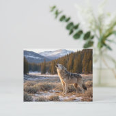 Carte Postale Faune Loup gris hurleur (Debout devant)