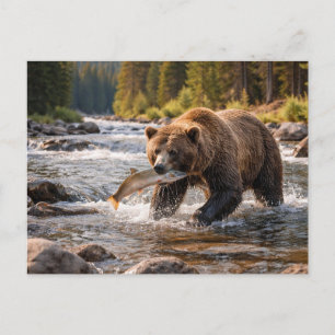 Carte Postale Faune Ours Grizzly Attrapant un Poisson