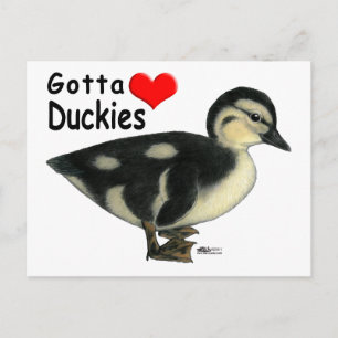 Carte Postale Faut adorer les canetons