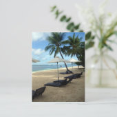 Carte Postale fauteuils en palmier de plage (Debout devant)