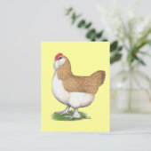 Carte Postale Faverolle Hen (Debout devant)