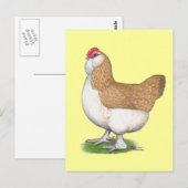 Carte Postale Faverolle Hen (Devant / Derrière)