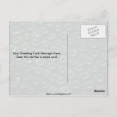 Carte Postale favia corallienne dure, Maldives (Dos)