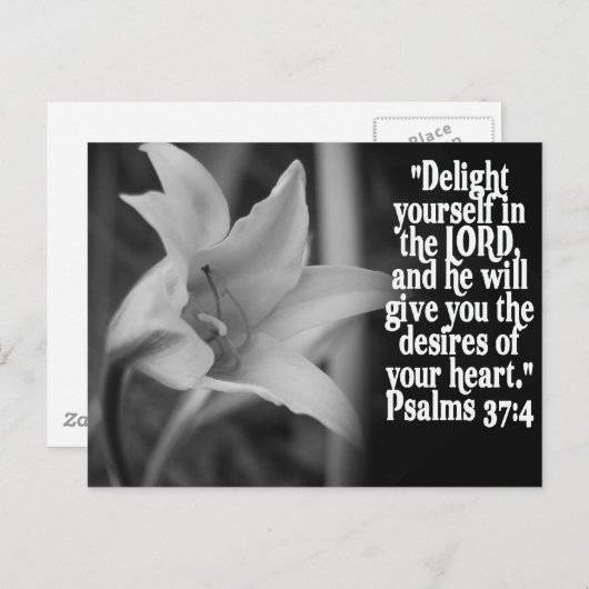CARTE POSTALE FAVORITE BIBLE SCRIPTURE PSALM 37:4 (Devant / Derrière)