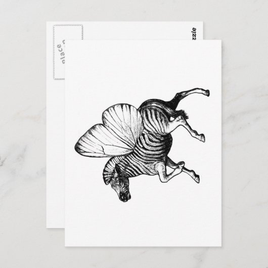 Carte Postale Fbattement Zebra (Devant / Derrière)