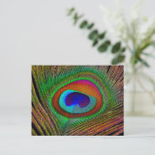 Carte Postale Feather Vibrant Copper (Debout devant)