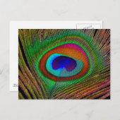 Carte Postale Feather Vibrant Copper (Devant / Derrière)