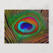 Carte Postale Feather Vibrant Copper (Devant)