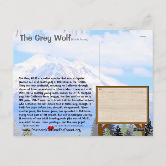 Carte Postale Feb25k-Le loup gris est en danger en Californie (Dos)