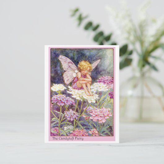 Carte Postale Fée Candytuft (Debout devant)