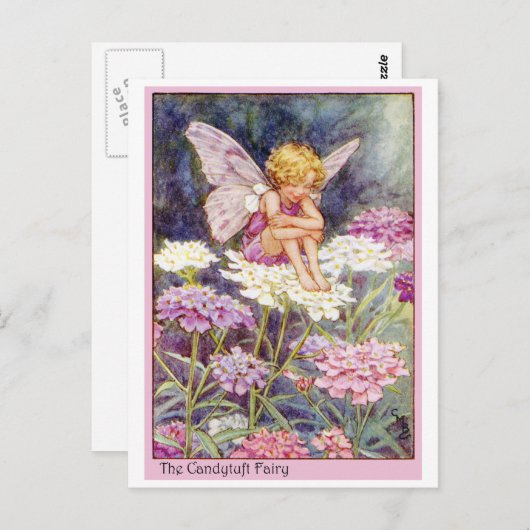 Carte Postale Fée Candytuft (Devant / Derrière)