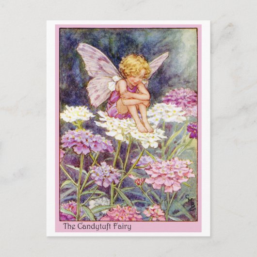 Carte Postale Fée Candytuft (Devant)