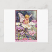 Carte Postale Fée Candytuft (Devant)