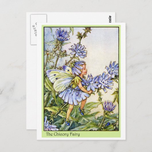 Carte Postale Fée chicorée (Devant / Derrière)