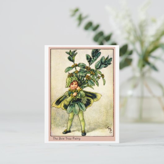 Carte Postale Fée d'arbre de boîte (Debout devant)