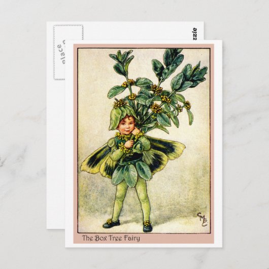 Carte Postale Fée d'arbre de boîte (Devant / Derrière)
